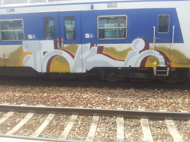 Graffiti Train in Vienna - Photo by Grex - Tokio (2013)