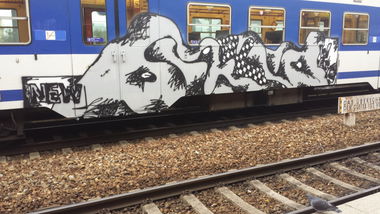 Graffiti Train in Vienna - Photo by Grex - Bild (2013)
