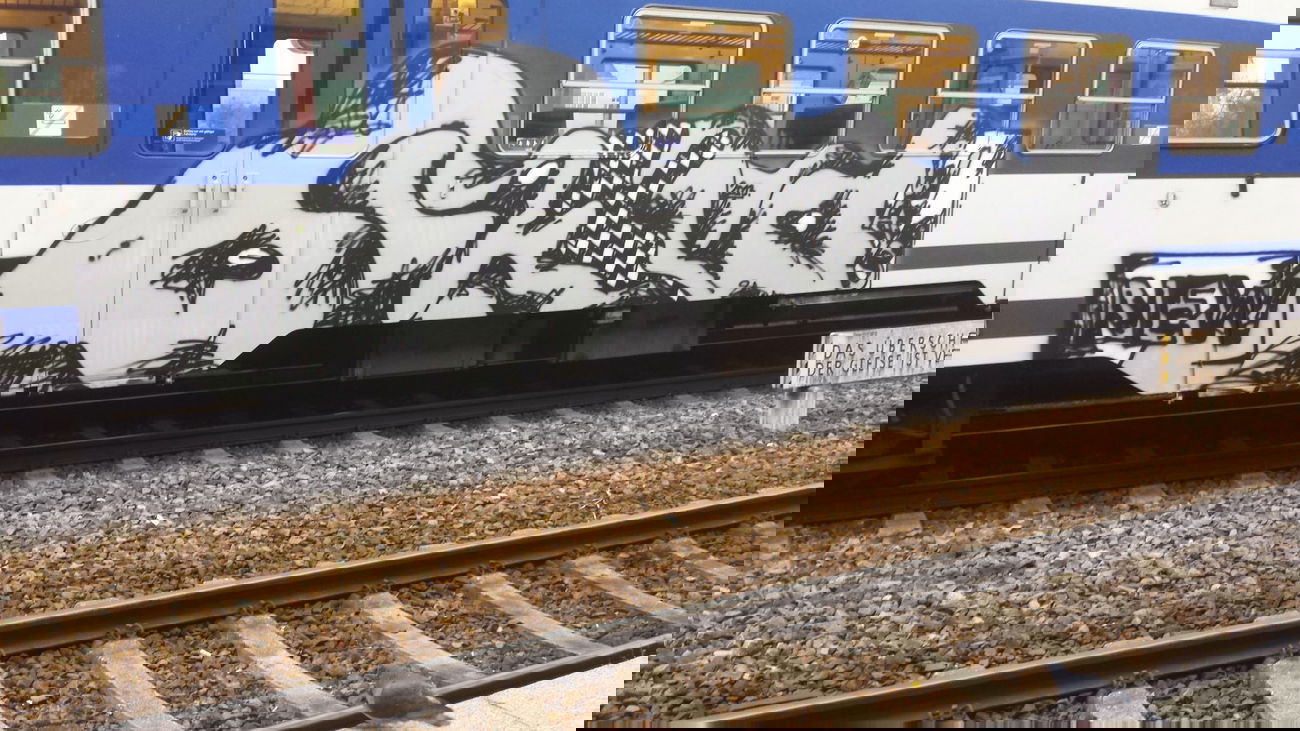 Graffiti Train in Vienna - Photo by Grex - Bild (2013)