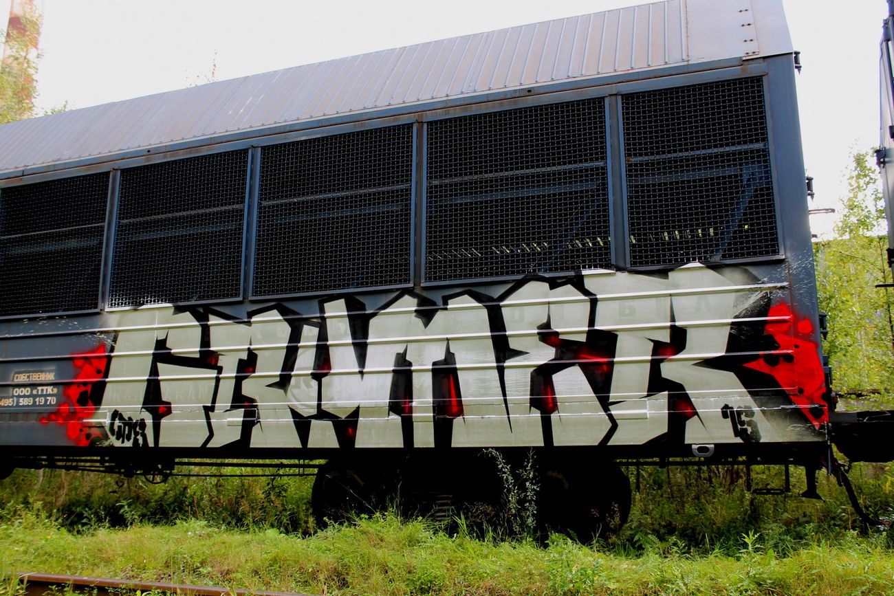 Graffiti Train - Photo by GrimeOne (2015)