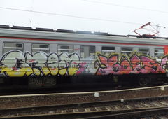 Photo #7299 by TagHagel