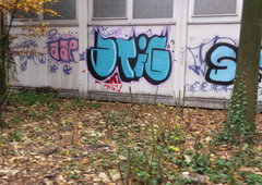 Photo #52921 by MrROISIUS