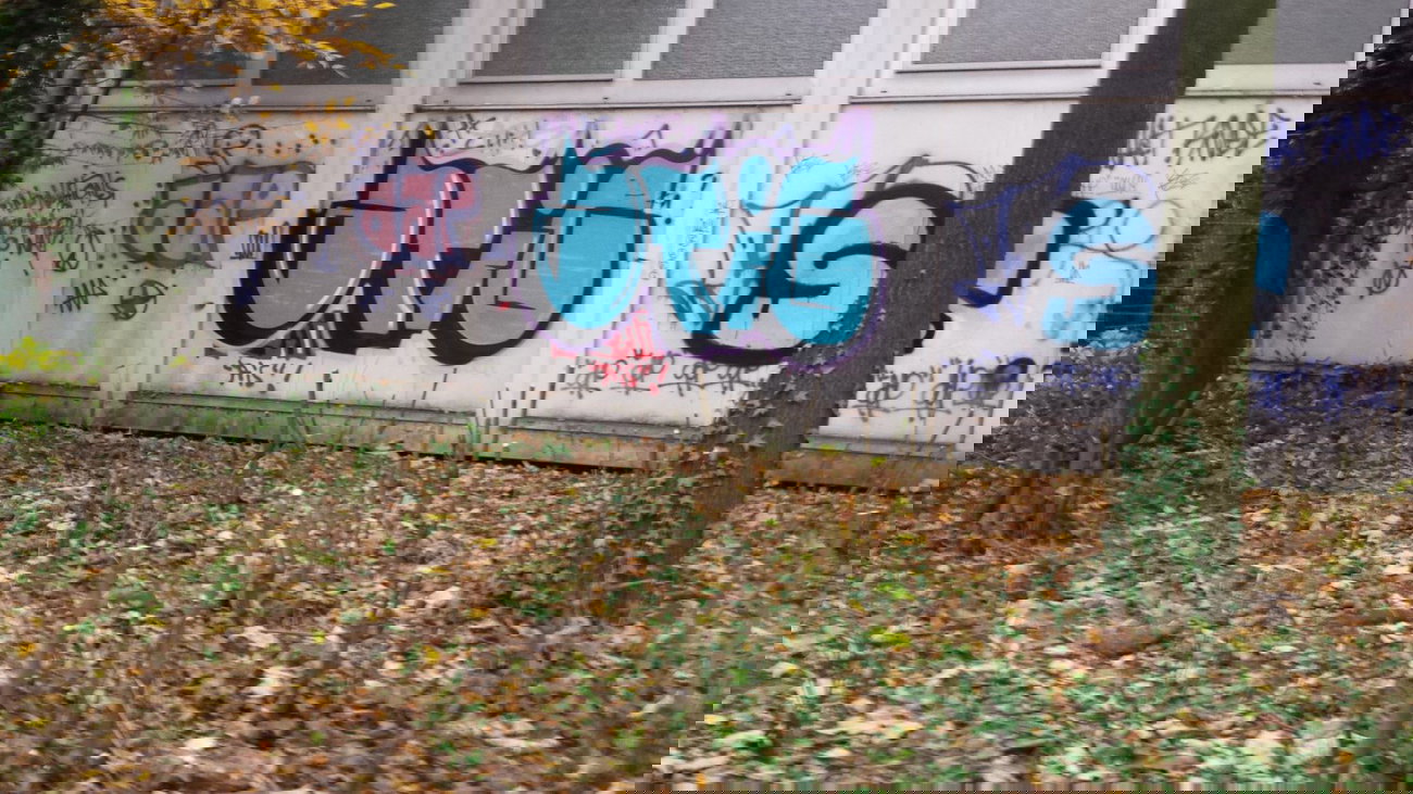 Graffiti Bombing - Photo by Grossatig - Atig, one, bombing (2013)