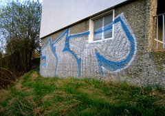 Photo #135733 by TagHagel