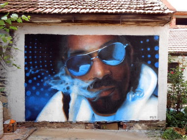 Graffiti Wall - Photo by Guametria - snoop, dogg, caracter (2013)