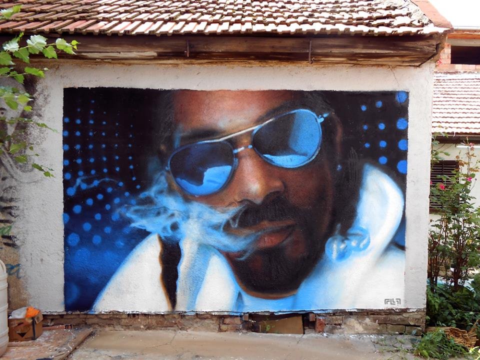 Graffiti Wall - Photo by Guametria - snoop, dogg, caracter (2013)