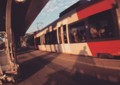 Photo #178427 by mdmapeter