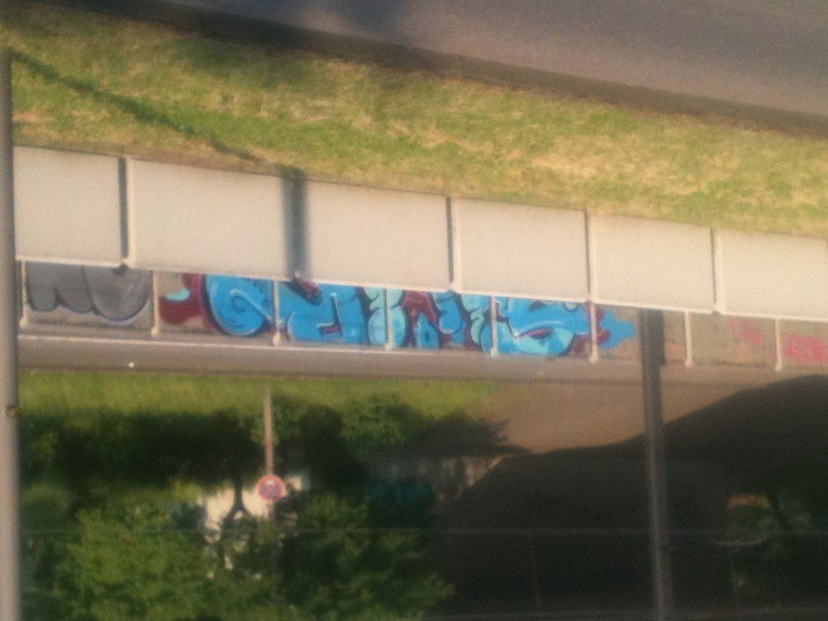 Graffiti Bombing in Köln - Photo by Gunther - Geier