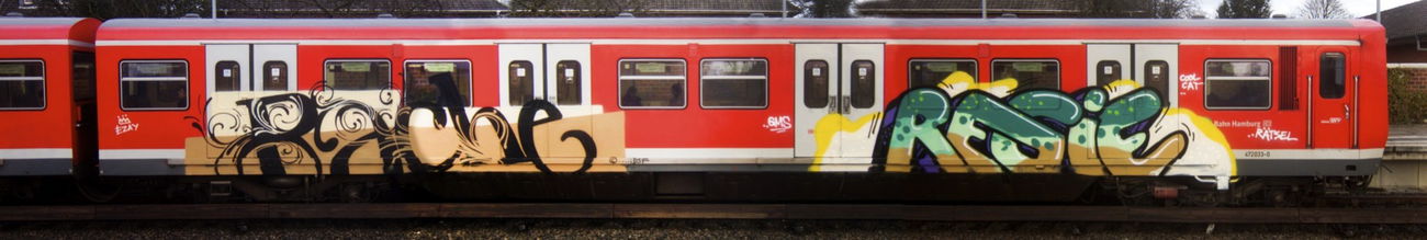 Graffiti Train - Photo by GurkenGlas