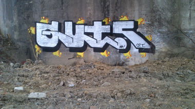 Graffiti Bombing - Photo by Gutzone - Gut, Zone (2014)