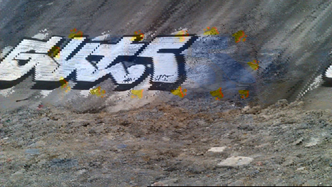 Graffiti Bombing - Photo by Gutzone - Gut, Zone (2014)