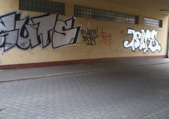 Photo #69970 by FEASTSFK