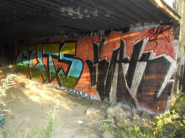 Graffiti Bombing in Ostrava - Photo by Gutzone - GutSak (2013)