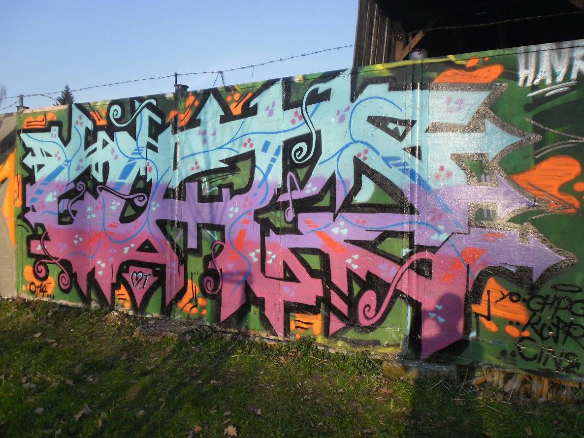 Graffiti Wall in Haví?ov - Photo by Gutzone - Haví?ov-Legal (2012)