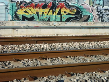 Graffiti Wall in Italy - Photo by Gw17