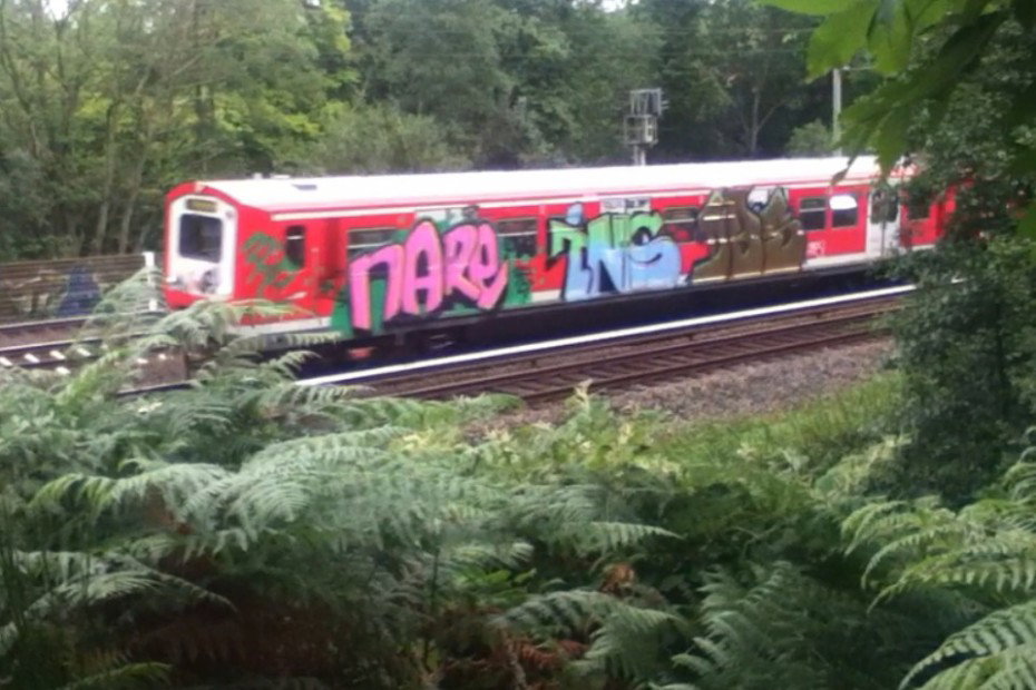 Graffiti Train in Reinbek - Photo by HAMBURG7 - nare, ins, dbs (2012)