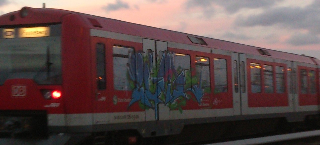 Graffiti Train in Hamburg - Photo by HAMBURG7 - evil, 180, hamburg (2013)