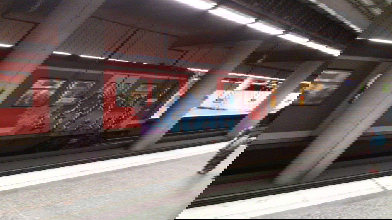 Graffiti Train in Hamburg - Photo by HAMBURG7 - cfhh, hsv (2013)