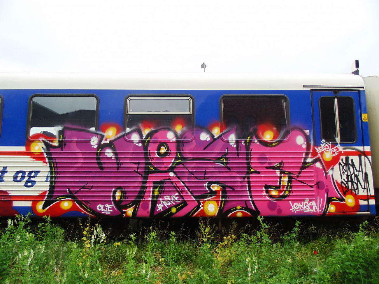 Graffiti Train - Photo by HAOS - wize, zam, zam (2016)