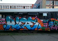 Photo #208281 by illuminati