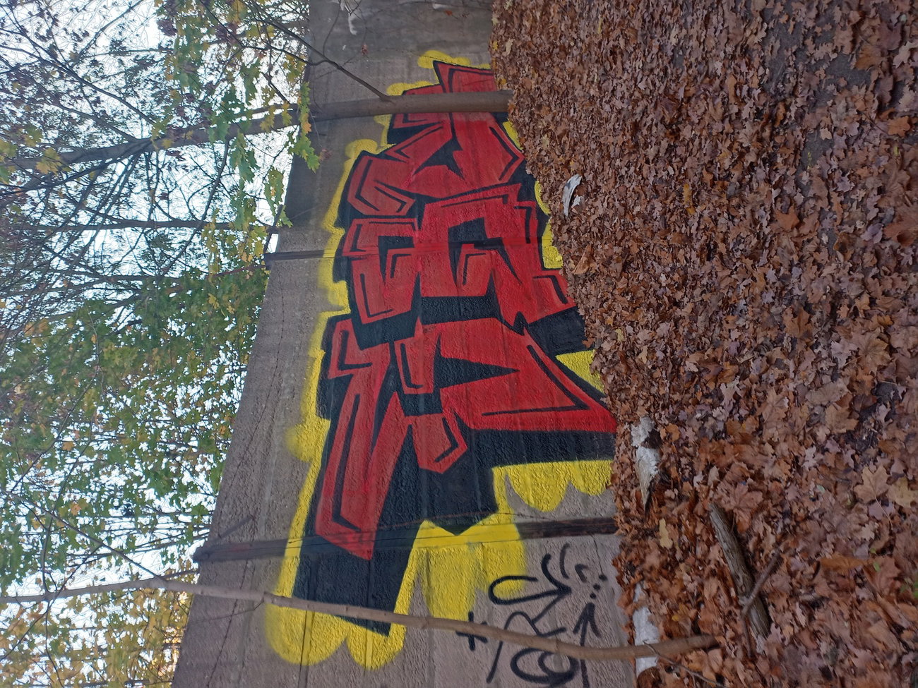 Graffiti Wall - Photo by HARC