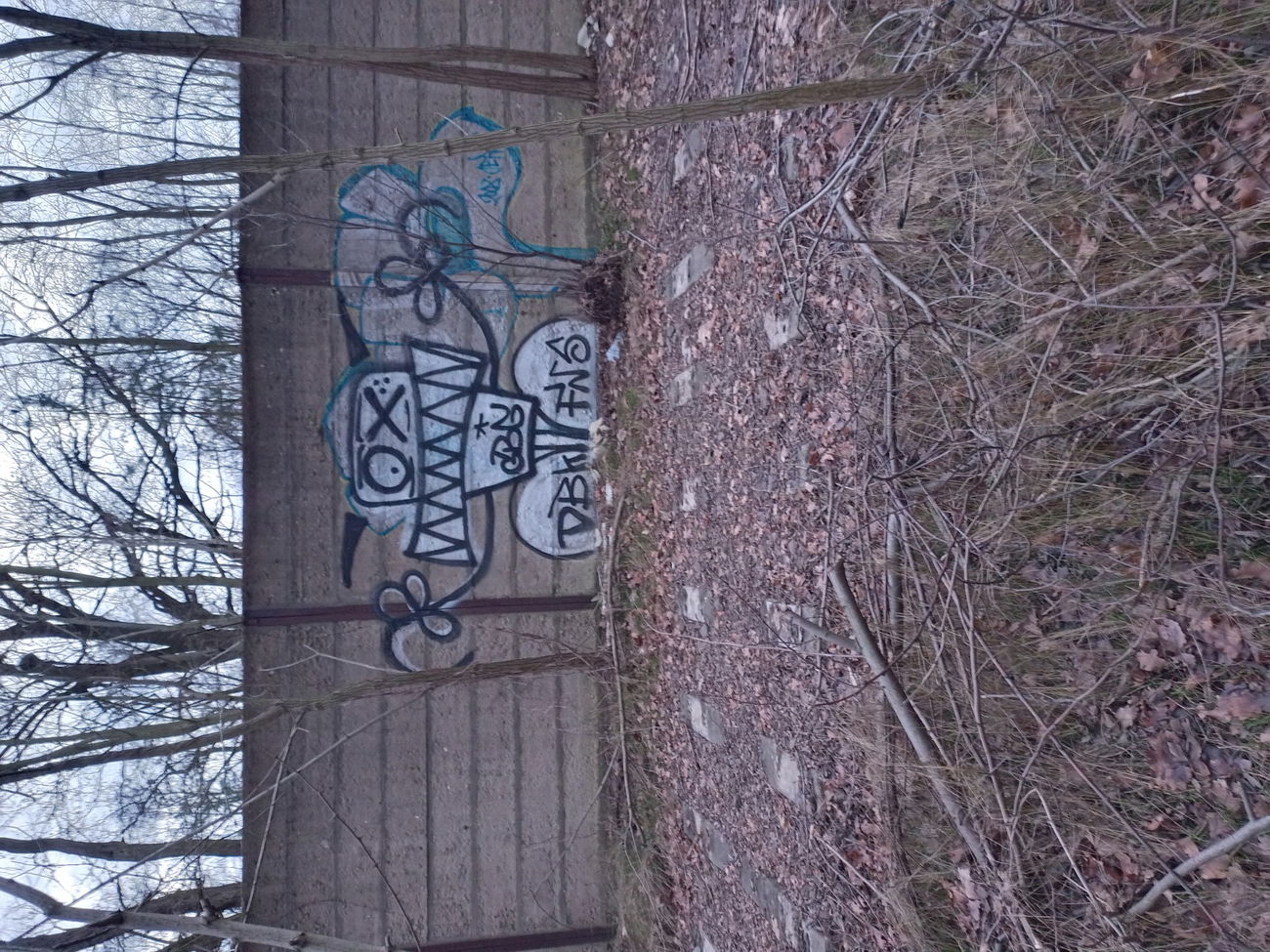 Graffiti Wall - Photo by HARC