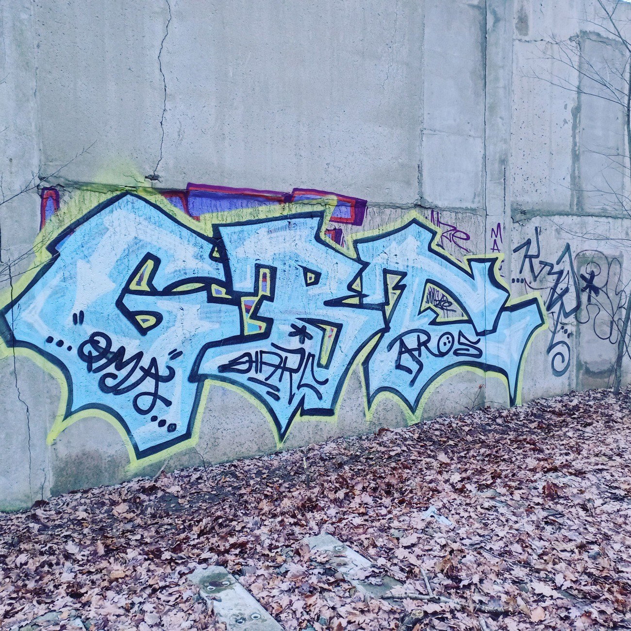 Graffiti Wall - Photo by HARC