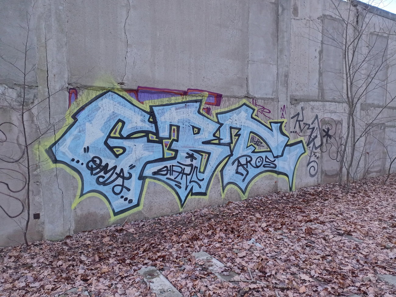 Graffiti Wall - Photo by HARC