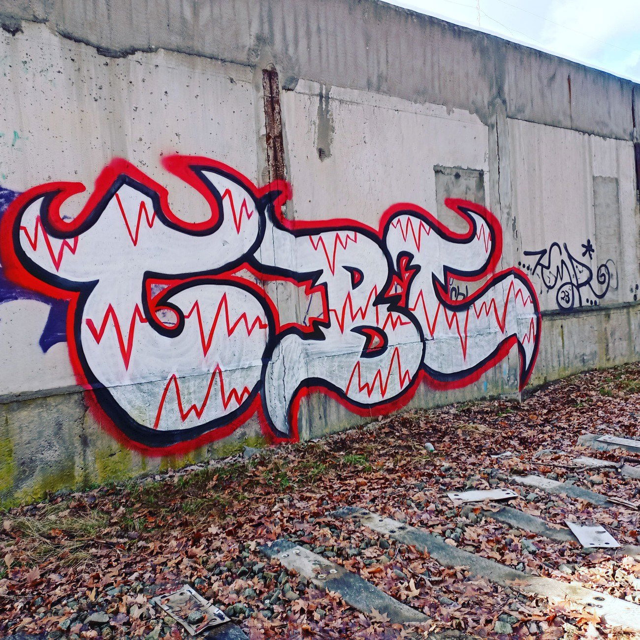 Graffiti Wall - Photo by HARC