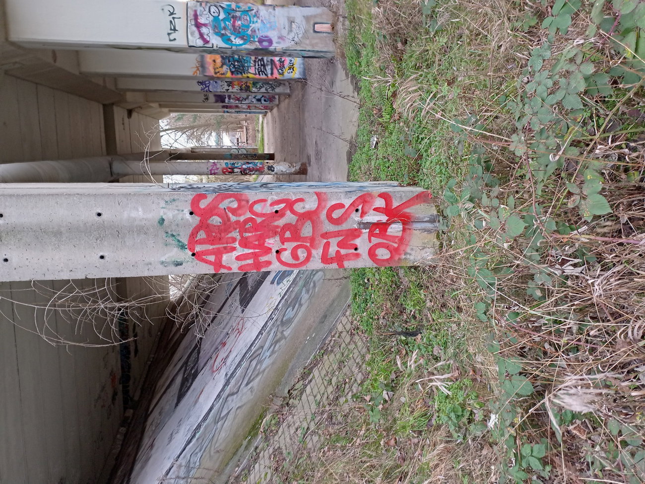 Graffiti Wall - Photo by HARC