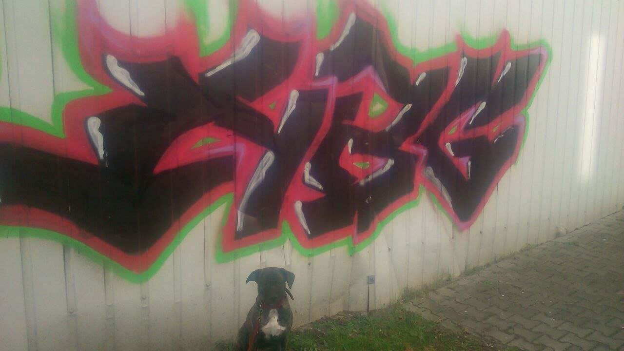 Graffiti Wall in Leipzig - Photo by HBGcrew - HBG (2014)