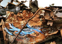 Photo #156990 by ERAS43