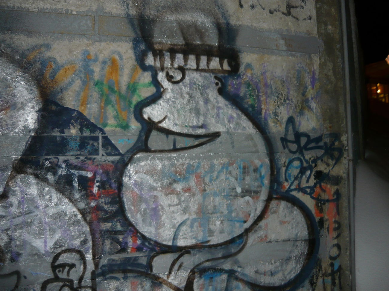 Graffiti Bombing - Photo by HICSONE