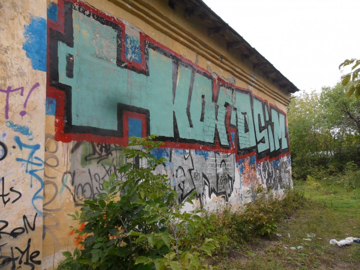 Graffiti Bombing - Photo by HLOR88
