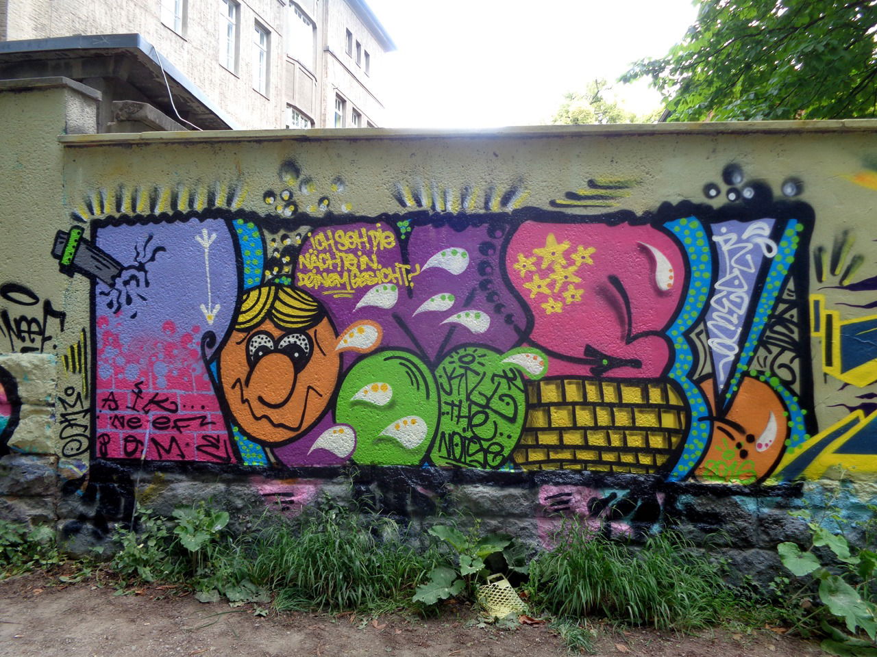 Graffiti Wall in Jena - Photo by HOBO - POME (2016)