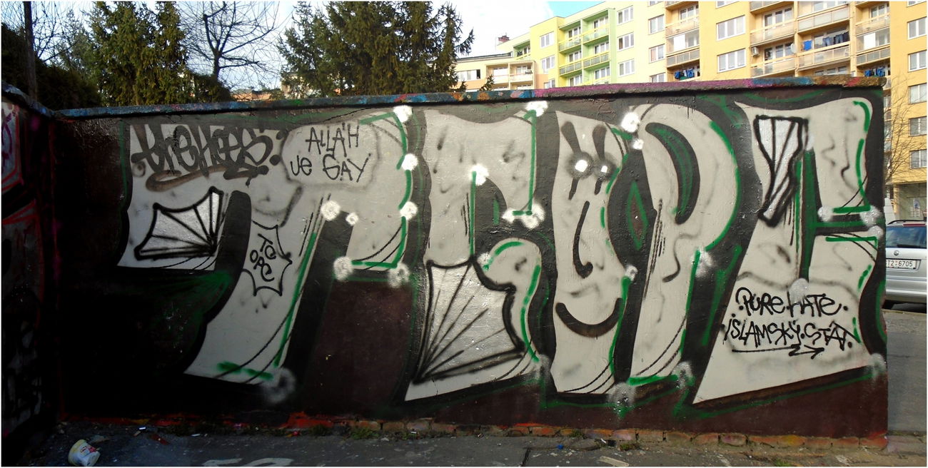 Graffiti Bombing - Photo by HOES91