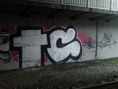 Graffiti Bombing - Photo by HOES91