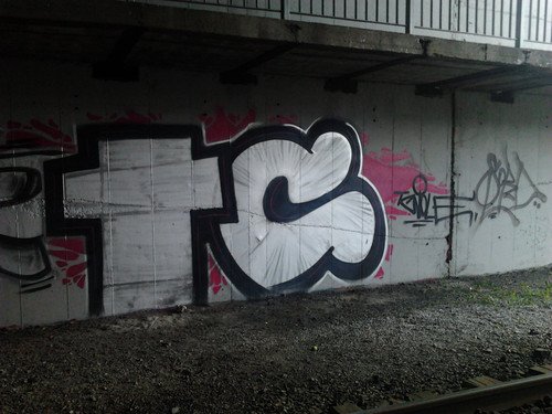 Graffiti Bombing - Photo by HOES91