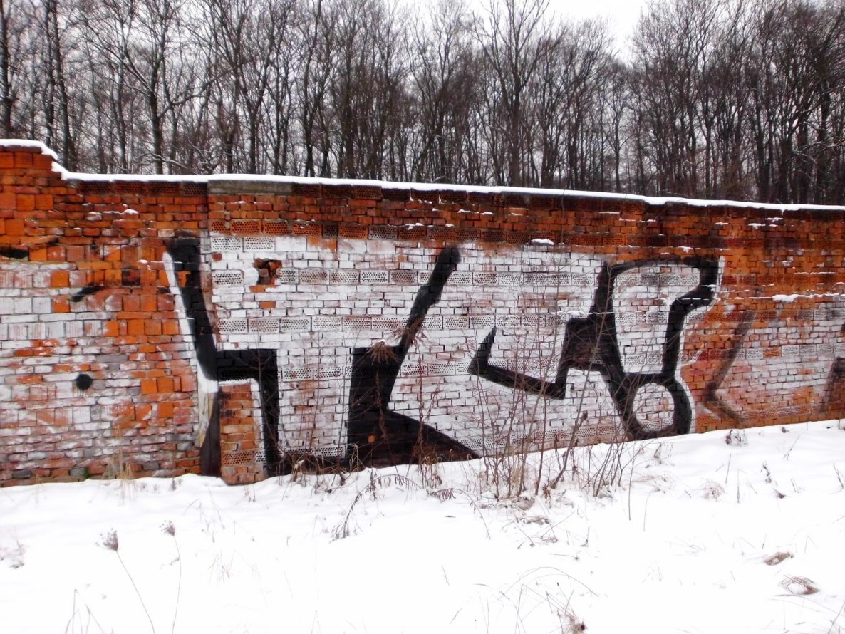 Graffiti Bombing - Photo by HOES91