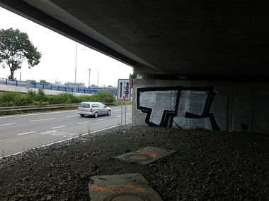 Graffiti Bombing - Photo by HOES91