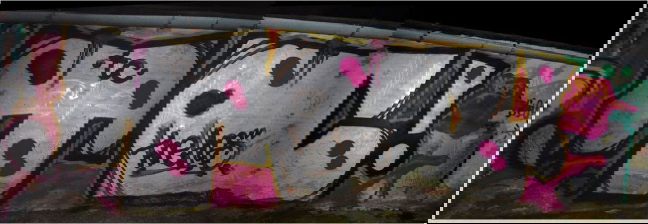 Graffiti Bombing - Photo by HOES91 - TC (2015)