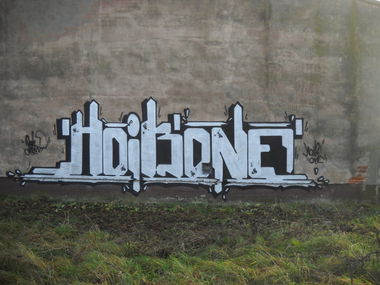 Graffiti Bombing in Opole - Photo by HOIB1 - hoibone (2012)