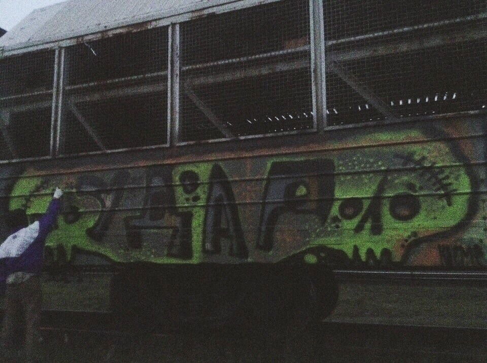 Graffiti Train - Photo by HOPE (2014)