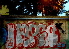 Photo #186463 by thule