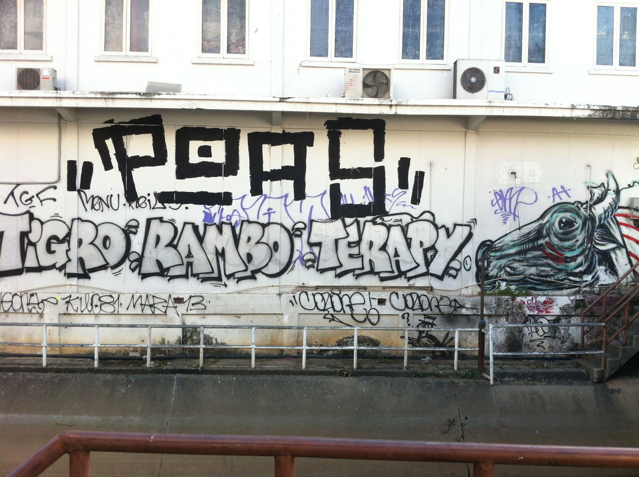 Graffiti Bombing - Photo by HOYA - poas, tigro, rambo