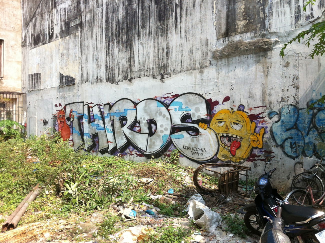 Graffiti Wall - Photo by HOYA - ayres, thirds, hoi