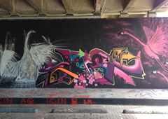 Photo #175679 by Belt