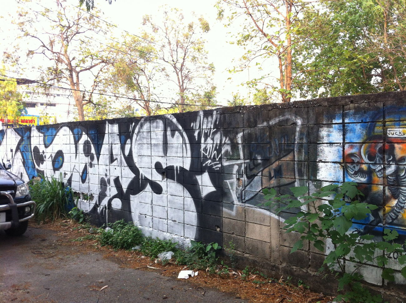 Graffiti Bombing - Photo by HOYA - poas, chiang, mai