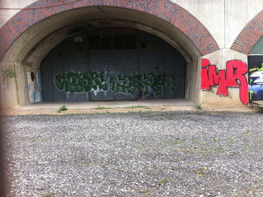 Graffiti Bombing - Photo by HOYA - coose, peps, cologne