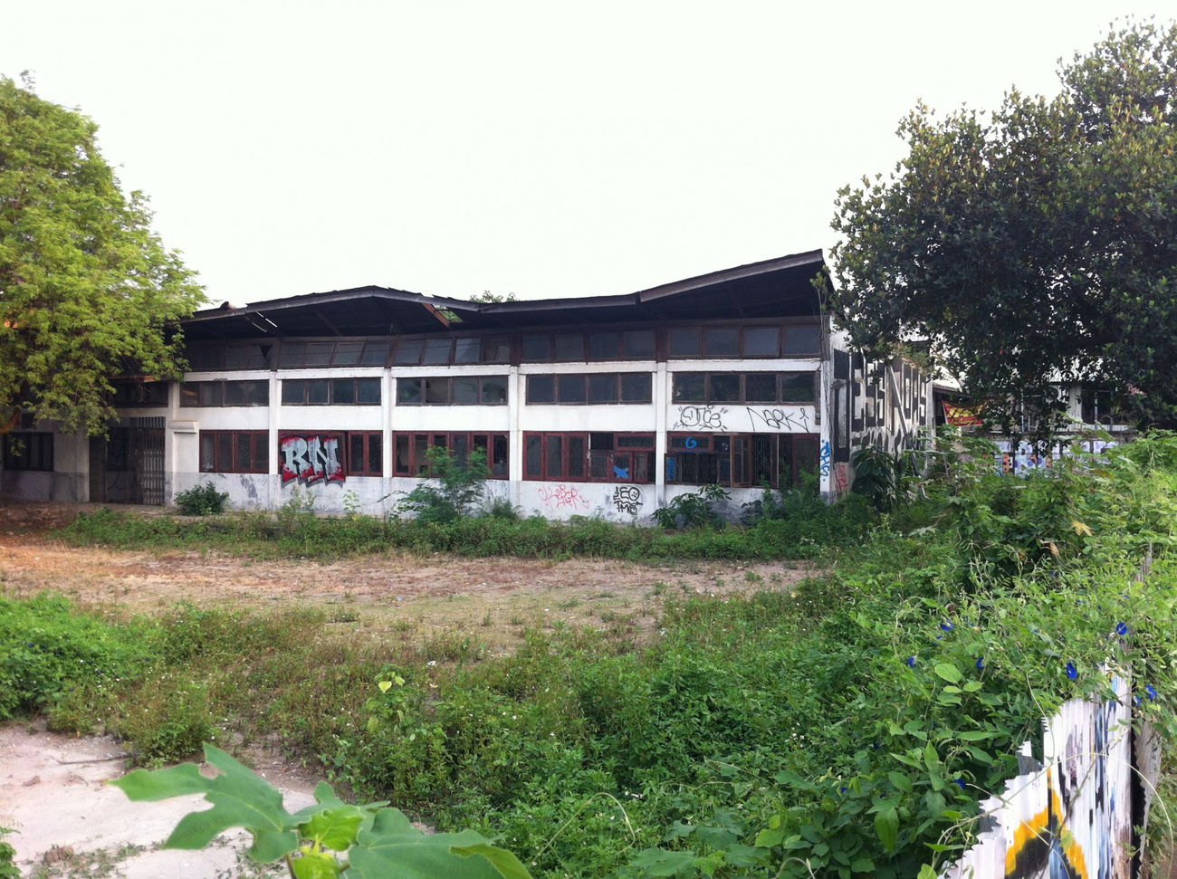 Graffiti Bombing - Photo by HOYA - chiang, mai, thailand